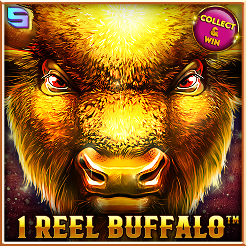 1 Reel Buffalo