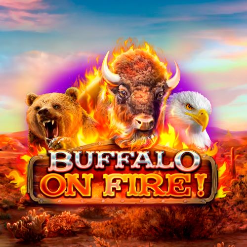 Buffalo on Fire!