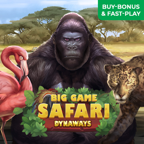 Big Game Safari