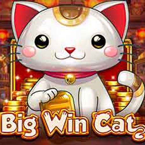 Big Win Cat