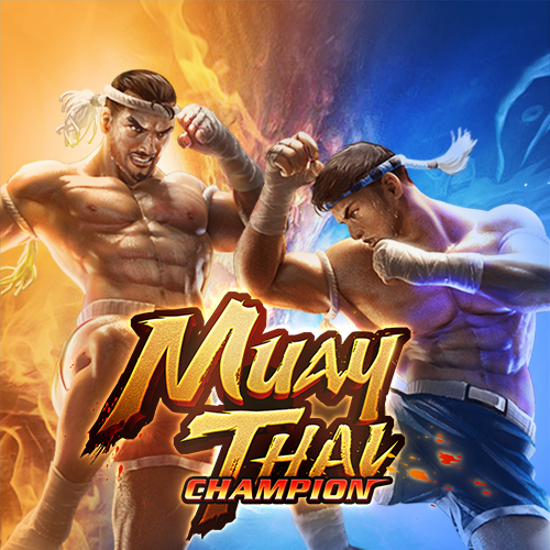 Muay Thai Champion