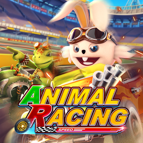 Animal Racing