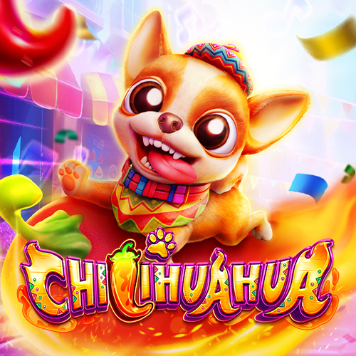 Chillihuahua