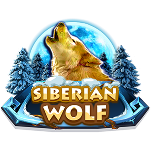 Siberian Wolf