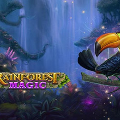 Rainforest Magic