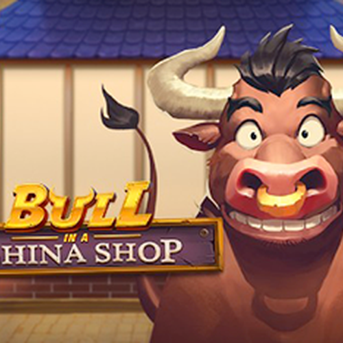 Bull in a China Shop