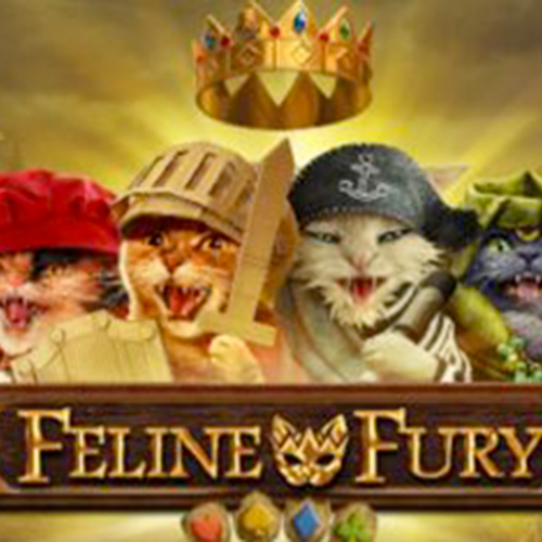 Feline Fury