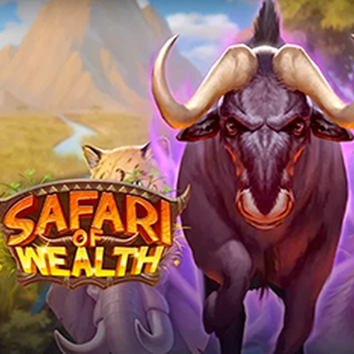 Safari of Wealth