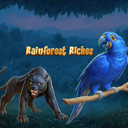 Rainforest Riches